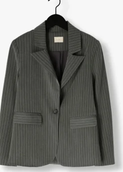 grijze ai&ko blazer amanda pinstripe vis 350 g
