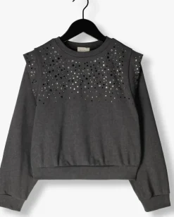 grijze ai&ko sweater carolla strass co 337 g