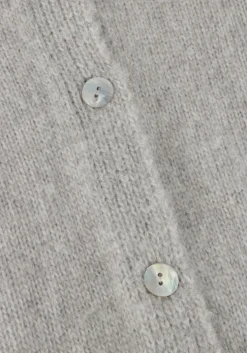 grijze ai&ko vest jady pes 442 g