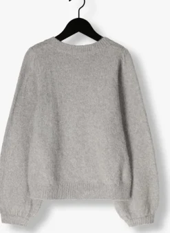 grijze ai&ko vest jady pes 442 g