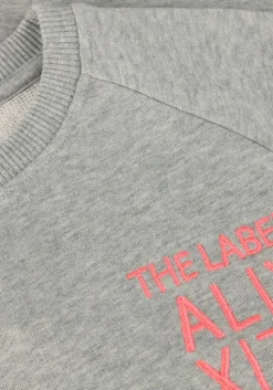 grijze alix mini mini jurk knitted sweatdress