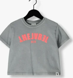 grijze alix mini t-shirt cropped t-shirt