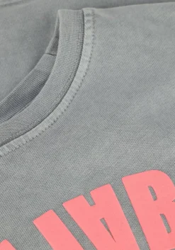 grijze alix mini t-shirt cropped t-shirt