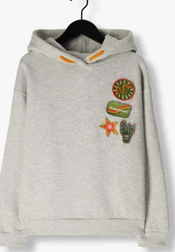 grijze ammehoela trui ernest