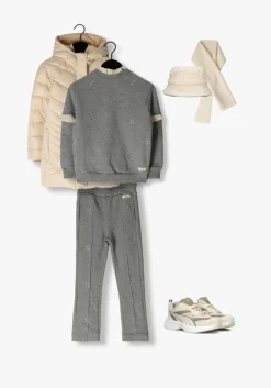 grijze baje studio pantalon montrose