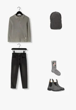 grijze baje studio polo neas