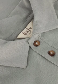 grijze baje studio polo vassal