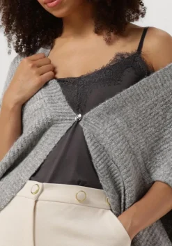 grijze caroline biss vest 4254