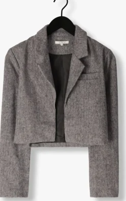 grijze circle of trust blazer laura blazer