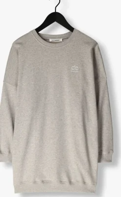 grijze co'couture mini jurk clean oversized sweat dress