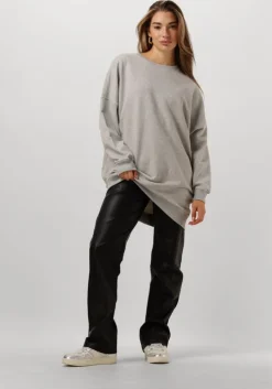 grijze co'couture mini jurk clean oversized sweat dress