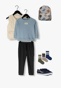 grijze daily7 cargobroeken cargo small check pants