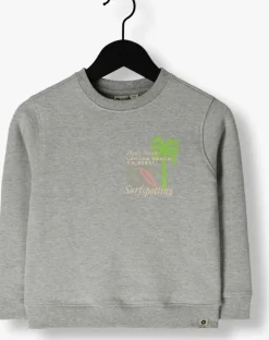 grijze daily7 sweater sweater textprint