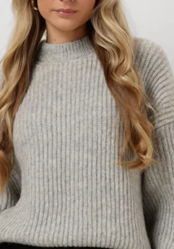 grijze drykorn trui ramea