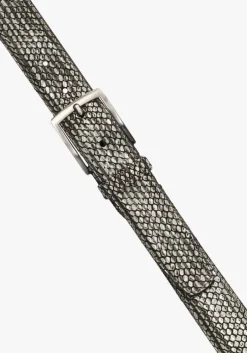 grijze floris van bommel riem cfm-10095 de belter