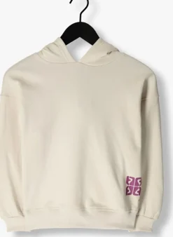 grijze frankie & liberty sweater paige hoodie