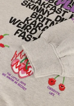 grijze harper & yve trui guiltylist-sw