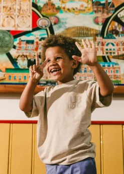 grijze labo de colores t-shirt bari 1