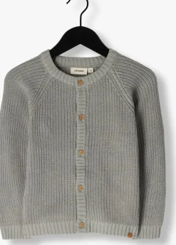 grijze lil' atelier vest nmnemlen lin ls knit lil noos