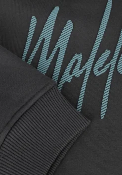 grijze malelions truien/vesten signature hoodie