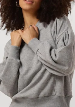 grijze minus trui roselia sweat