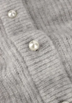 grijze modström trui lennimd cardigan