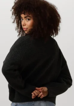 grijze neo noir trui detri solid knit blouse