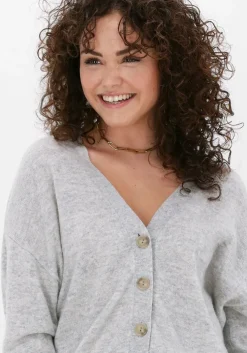 grijze not shy vest juana