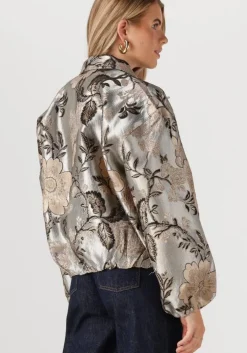 grijze notre-v jack nv-gaya