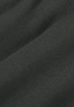 grijze pme legend polo trackway polo