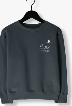 grijze raizzed sweater nile