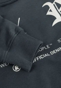 grijze raizzed sweater nile