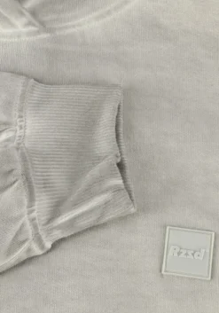 grijze raizzed truien/vesten nevis