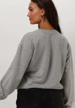 grijze refined department sweater jane