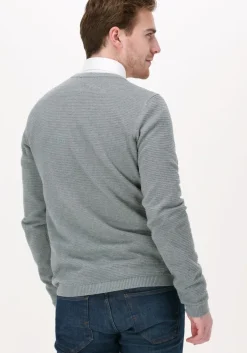 grijze saint steve trui har