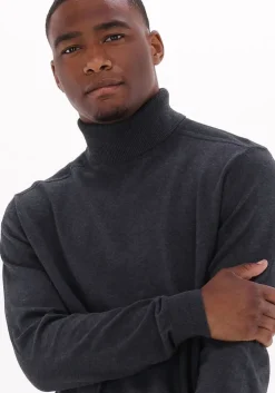 grijze selected homme coltrui slhberg roll neck noos