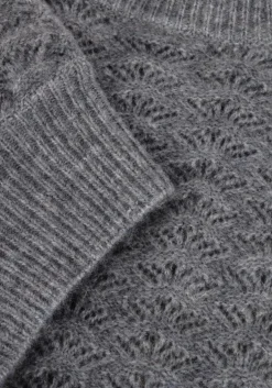 grijze suncoo trui pensee