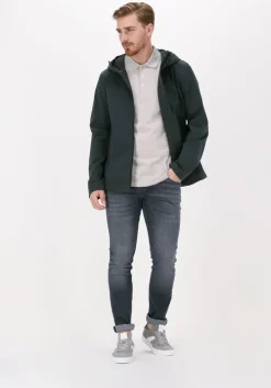 grijze tiger of sweden polo darios