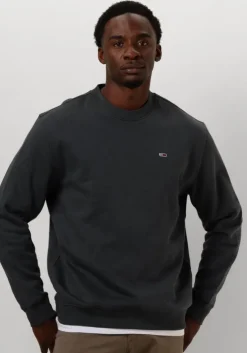grijze tommy jeans trui tjm reg s flag crew
