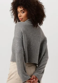 grijze twinset milano coltrui 242tp3271