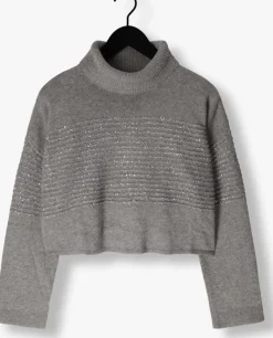 grijze twinset milano coltrui 242tp3271