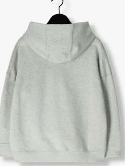 grijze zadig & voltaire sweater x60327