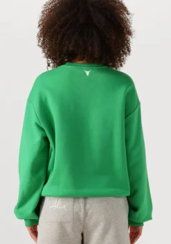 groene alix the label trui ladies knitted clean logo sweater
