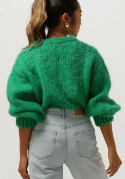 groene american dreams trui leonnie alpaca pullover