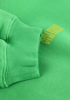 groene american vintage trui izubird s