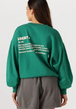 groene by-bar trui bibi dictionary big sweater