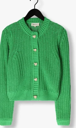 groene fabienne chapot vest sun cardigan