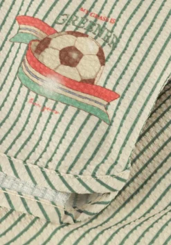 groene konges slojd zwembroeken seer asnou swimshorts grs