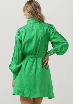 groene notre-v mini jurk nv-danton pearl dress