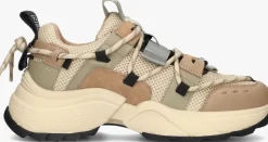 groene steve madden lage sneakers tazmania